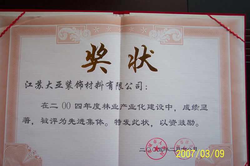 2004年度“先進(jìn)集體”